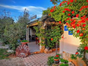 Viva Molindrio, Porec